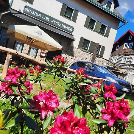 Pension Lipa Horní Maršov Kültér fotó